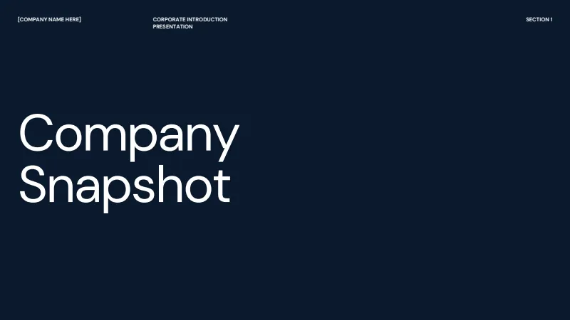 Company Introduction — 15-Slide Business & Corporate Presentation Template (Playful Style) — slide 2